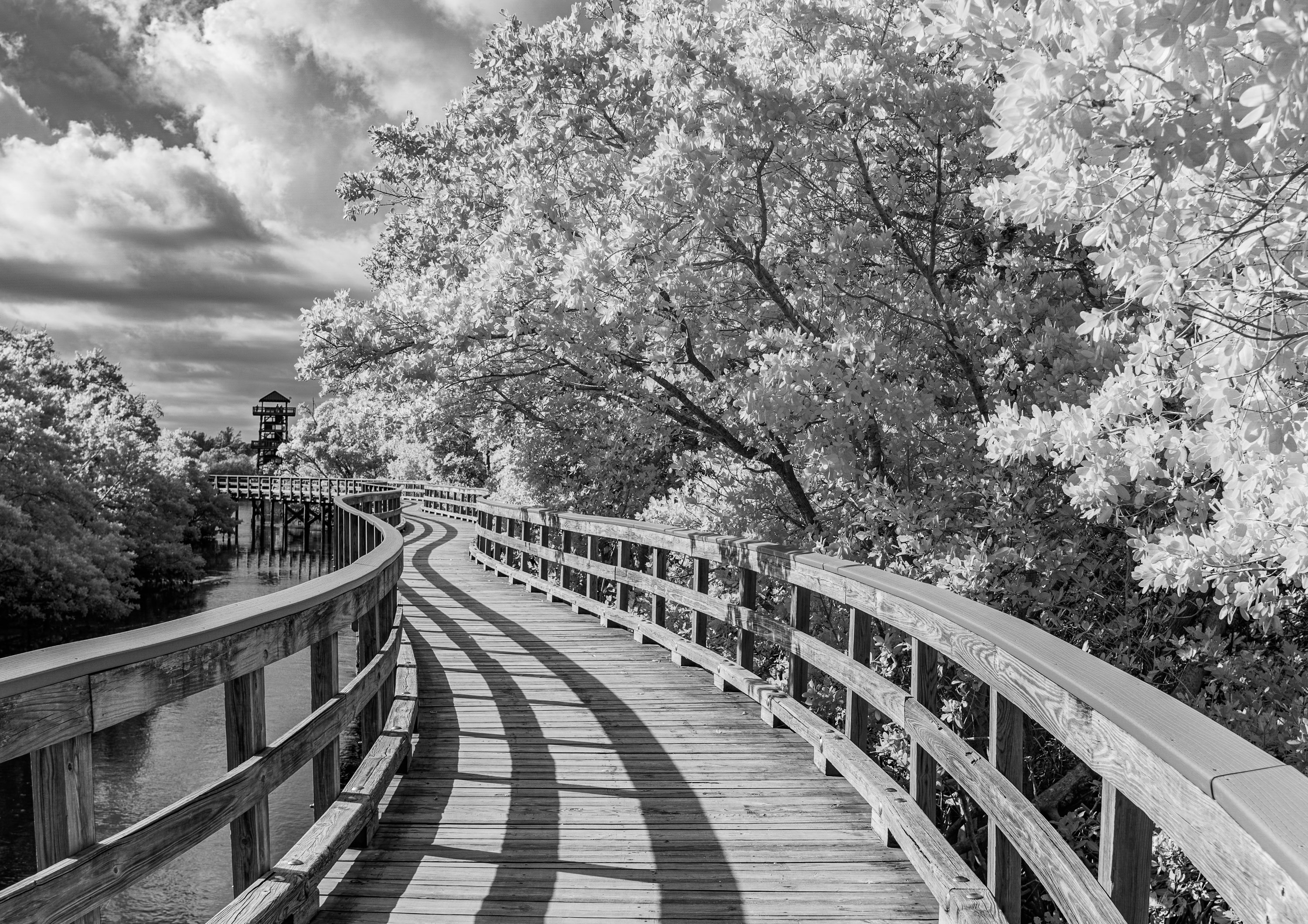 Boardwalk to the Tower IR 91394b53 1105 47fb bd7e 82c732155482